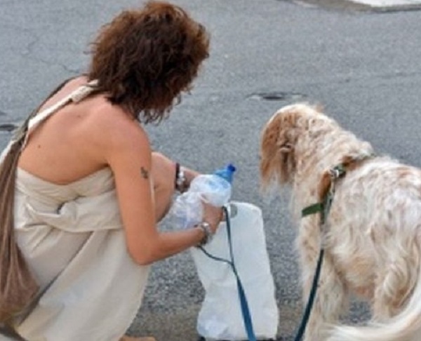 Borgosesia, ordinanza in vigore: "Obbligo acqua per pulire pipì cani" | VercelliNotizie